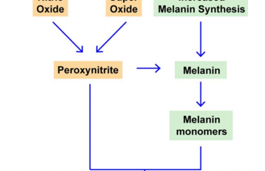 Rol de la radiación UVA en la patogenesis del melanoma